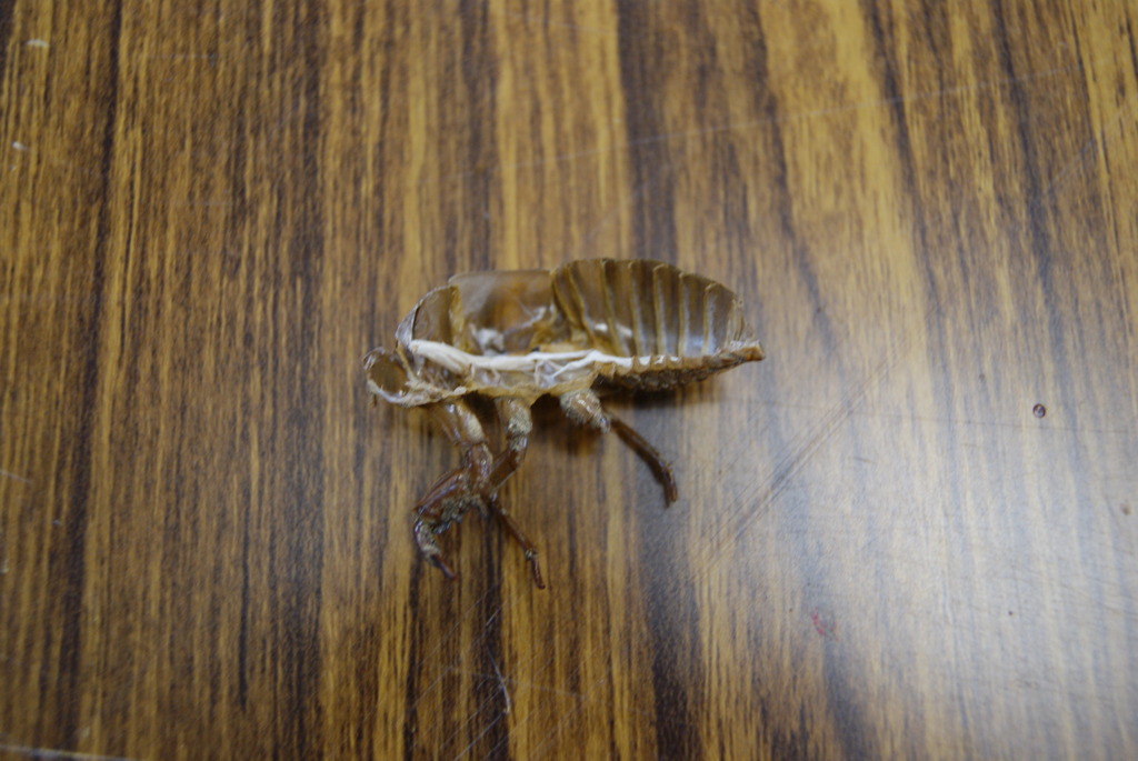 レッツ久宝探検隊☆20110828