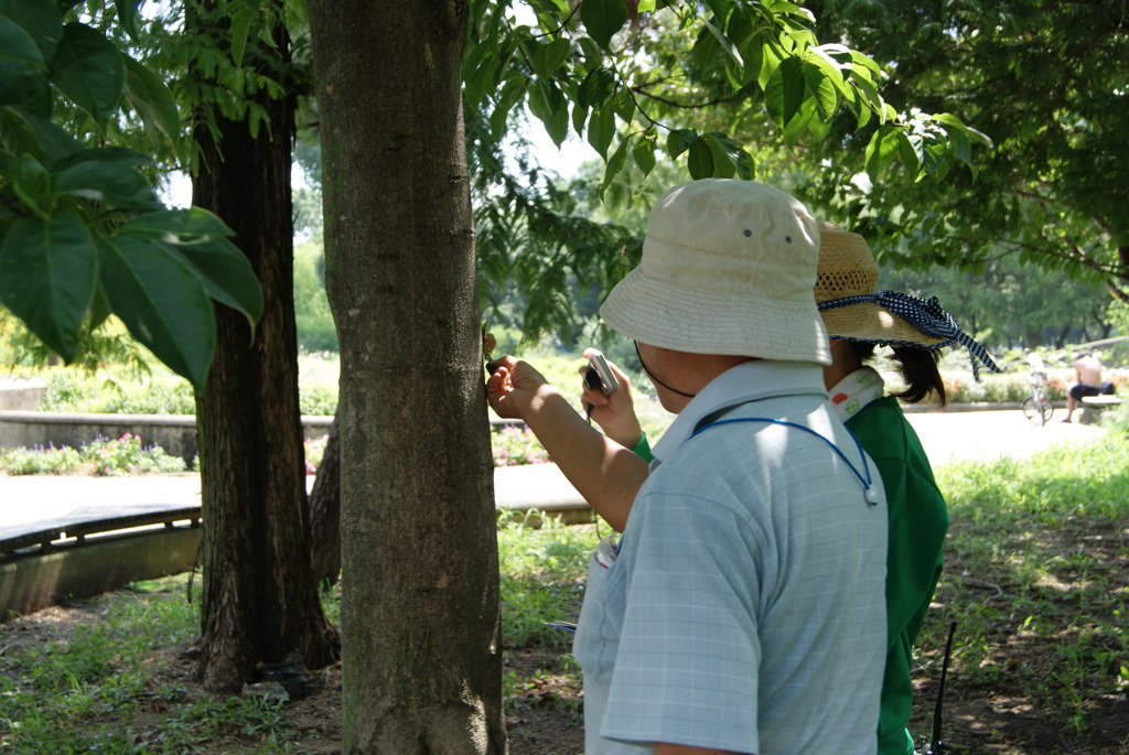 レッツ久宝探検隊☆20110828