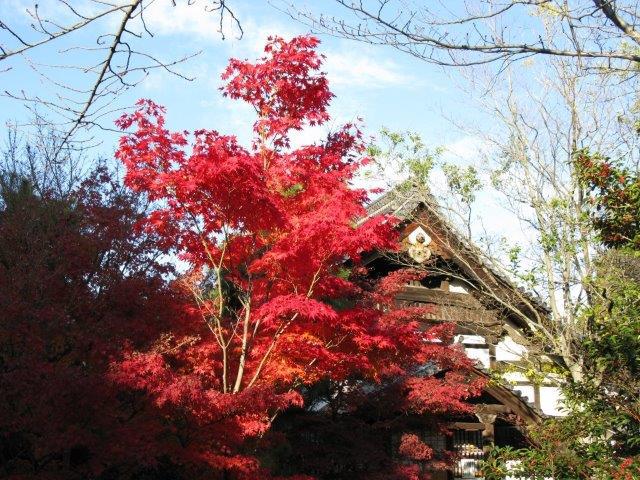 清凉寺