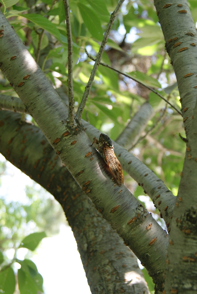 レッツ久宝探検隊☆20110828