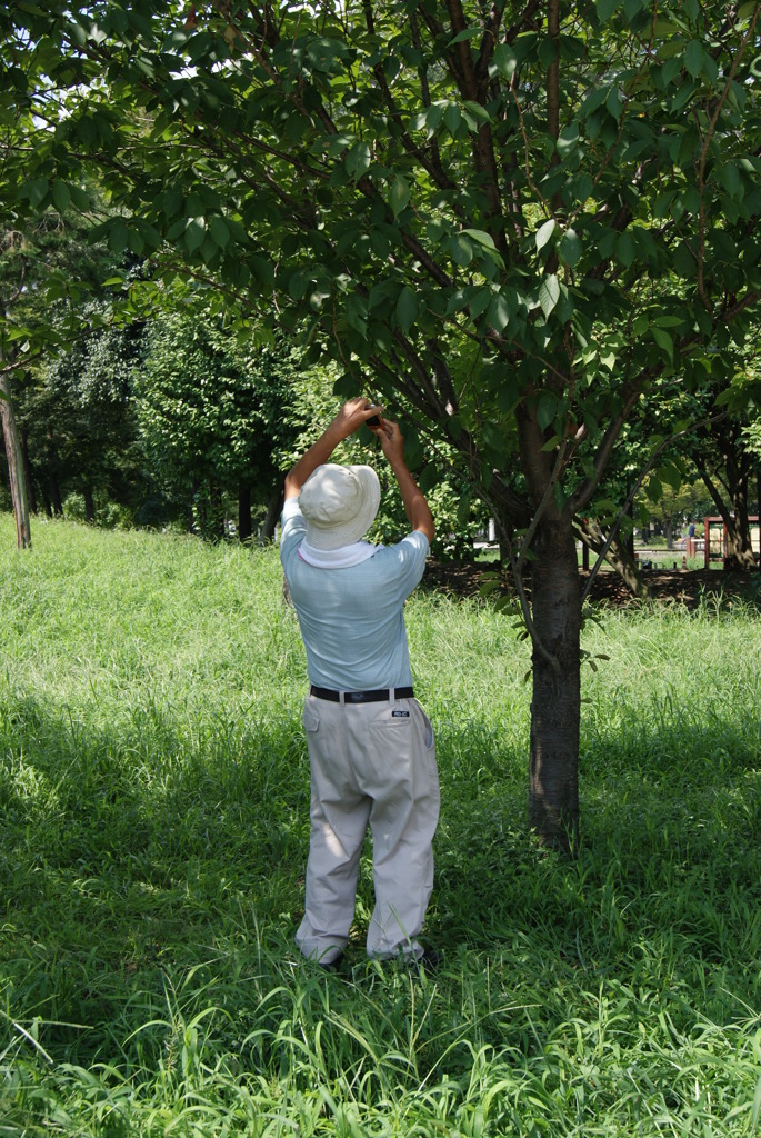 レッツ久宝探検隊☆20110828
