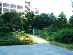 新梅田シティ里山入り口真ん中