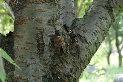 レッツ久宝探検隊☆20110828