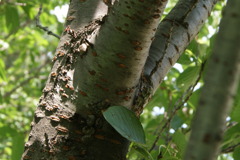 レッツ久宝探検隊☆20110828