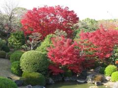 日本庭園