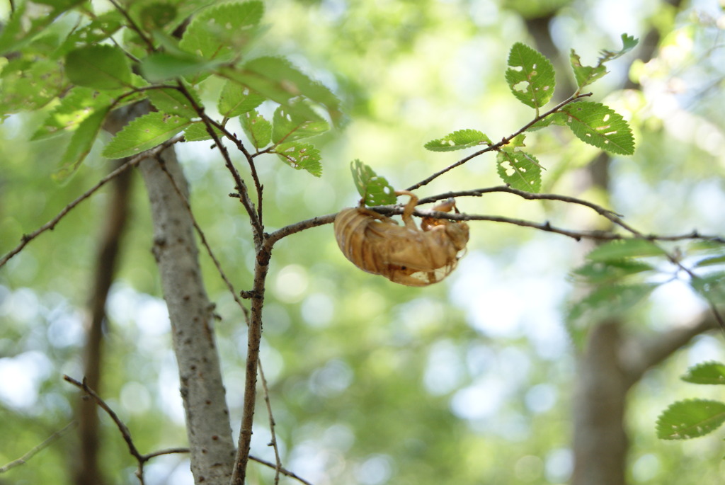 レッツ久宝探検隊☆20110828