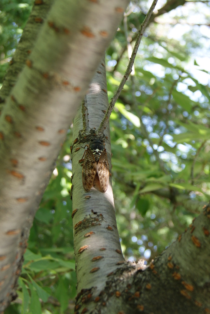 レッツ久宝探検隊☆20110828