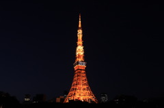 TOKYO TOWER 2010