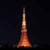 TOKYO TOWER 2010