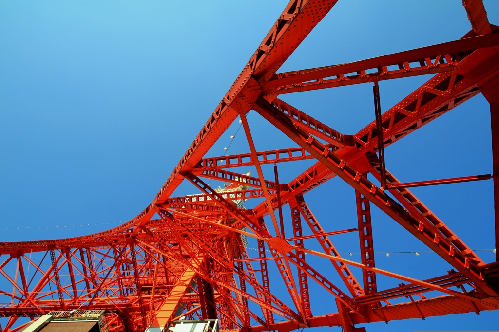 空高く