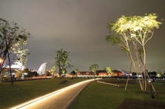 Road of light