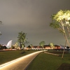Road of light