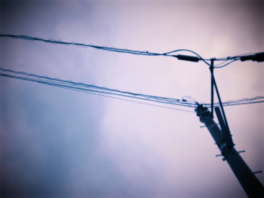 電柱。