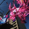 平塚の七夕