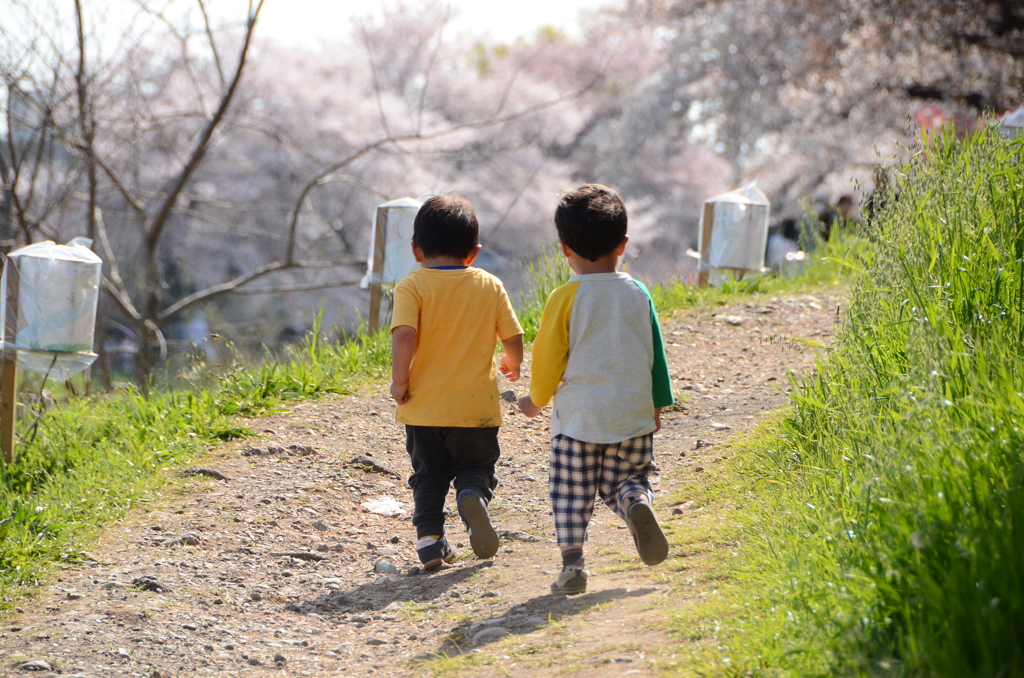 兄弟じゃないけど