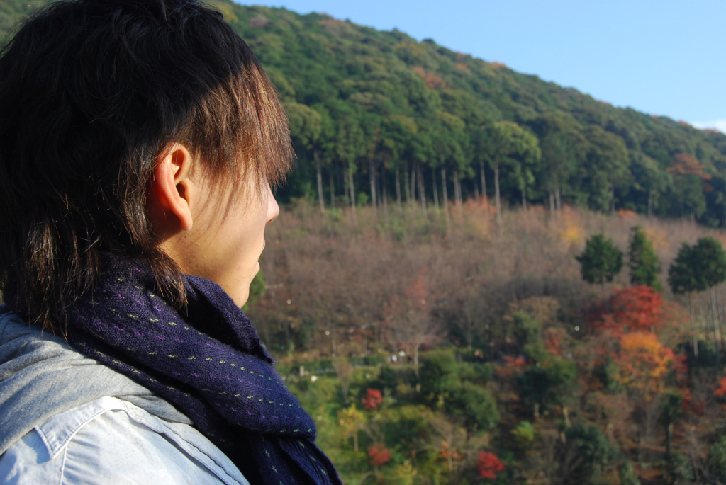 山を望む