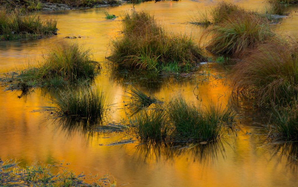 Orange Creek