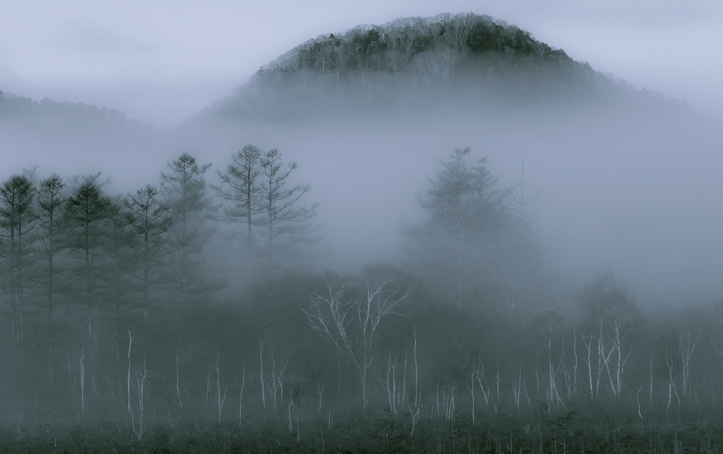 　霧の高原