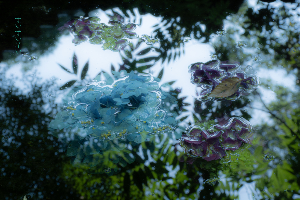 梅雨空 ＜静＞