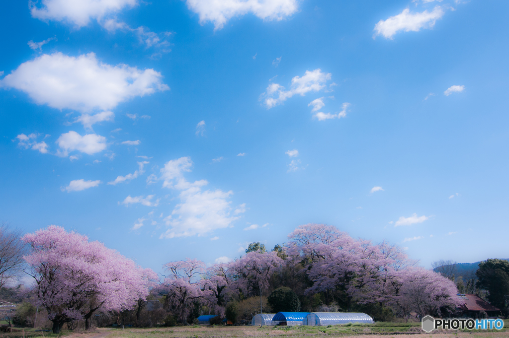 春 空