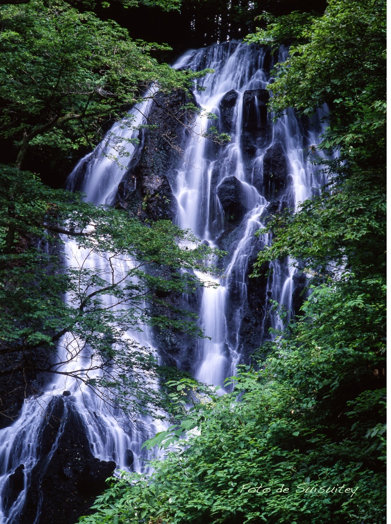 盛 夏