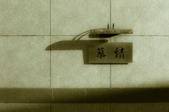 Love is a many splenderd thing 