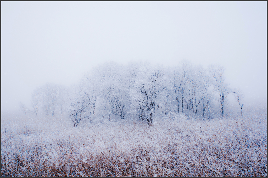 　雪 譜