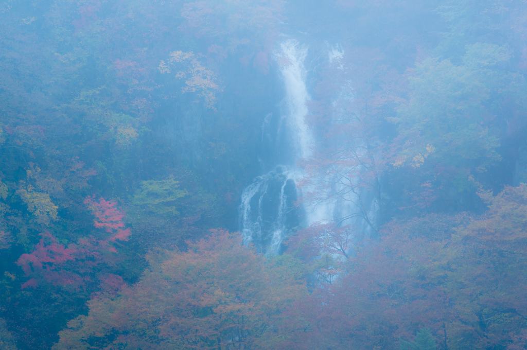 　愁 霧 ＜霧降の滝＞