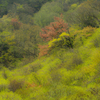 山大いに笑う