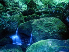 こだまの渓水