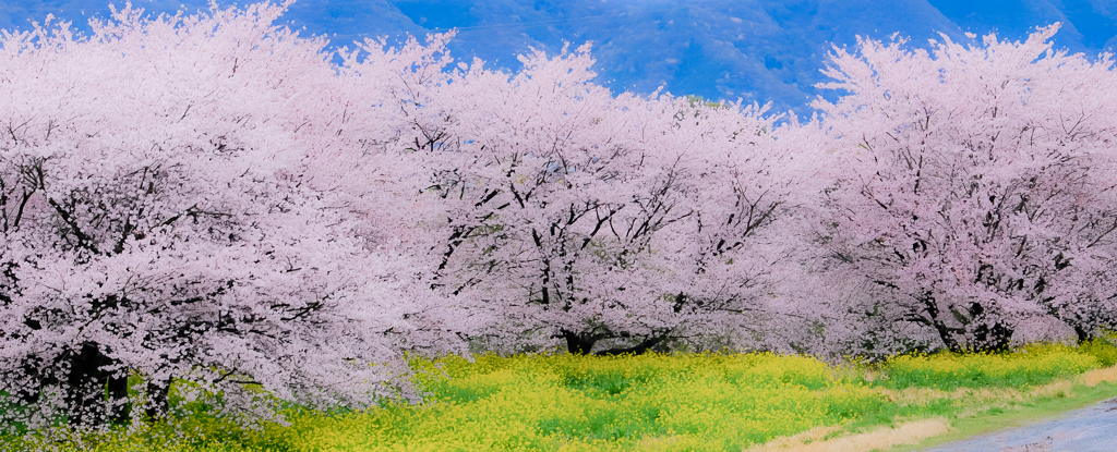 　華舞台
