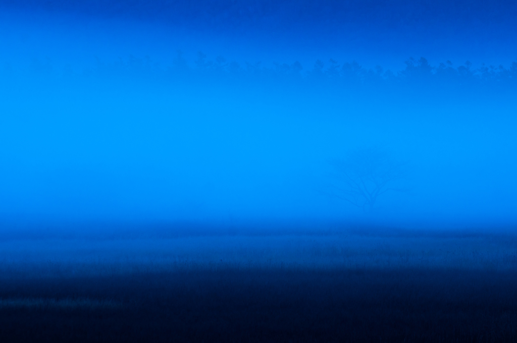   蒼 霧