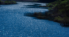 SHINING RIPPLES
