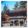 大矢田神社Holga