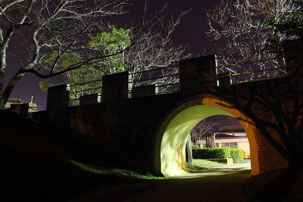 Night Walk