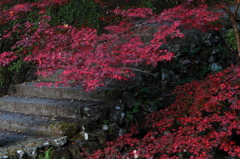 秋を求めて～清水の滝