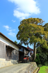 赤いトラクター