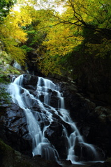 秋の千寿院の滝