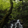白糸の滝