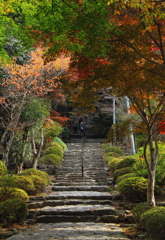 英彦山神宮への石階段