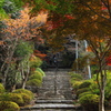 英彦山神宮への石階段