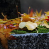 秋を求めて「雷神社」