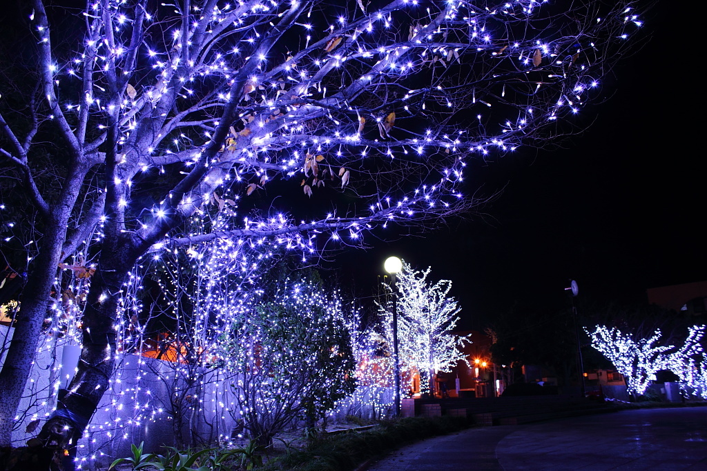 私の町のイルミネーション