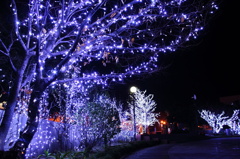 私の町のイルミネーション