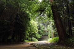 桜井神社