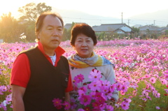 愛をこめて花束を