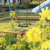 今日も誰かと＾＾