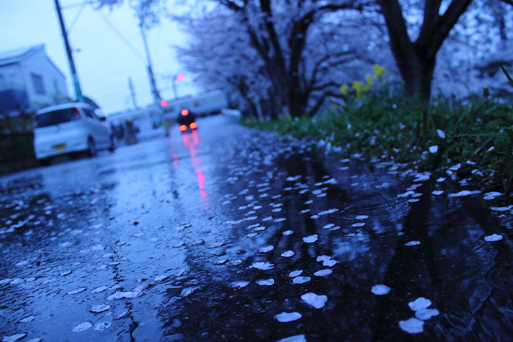 雨