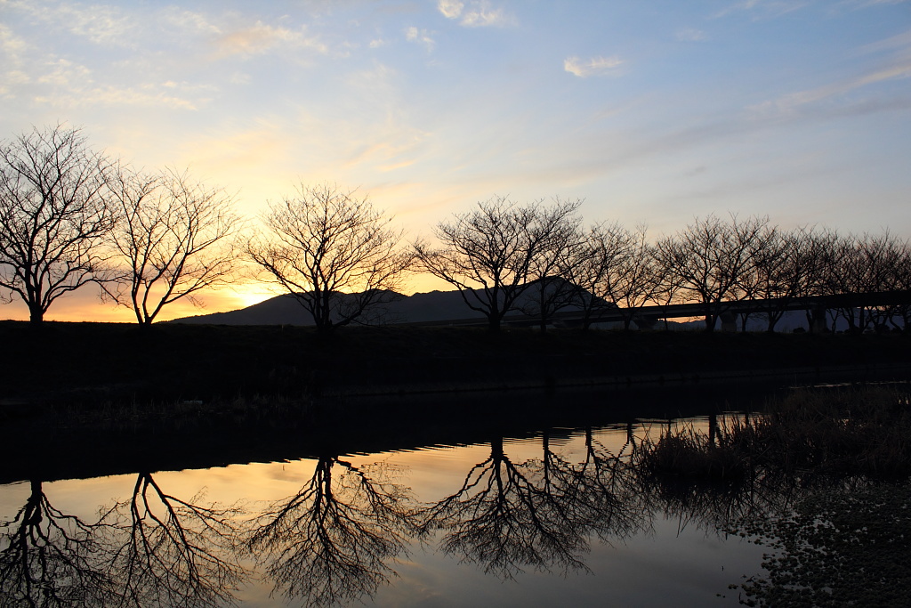 春の朝