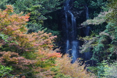 秋を求めて～清水の滝